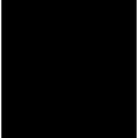 Placa de EVA Lisa 400X480mm Preto