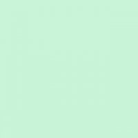 Placa de EVA Lisa 400X480mm Verde Claro