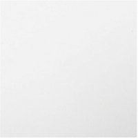 Placa de EVA Lisa 400X48mm Branco
